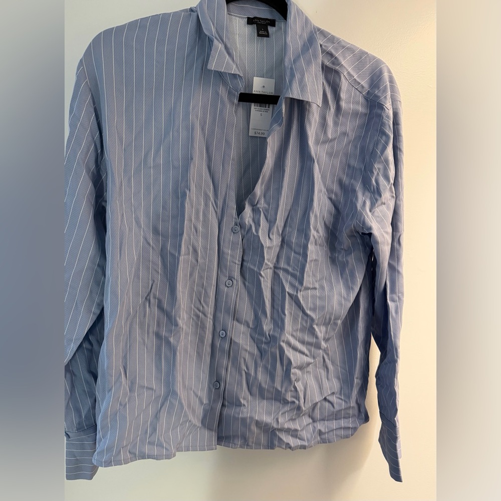 Ann Taylor  Blue Pinstripe Dress Shirt
